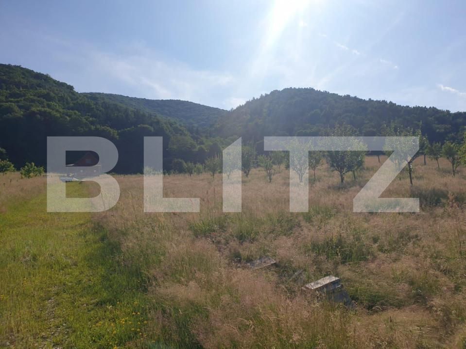 Teren de vânzare Exterior Vest - 140834TV | BLITZ Sibiu | Poza2