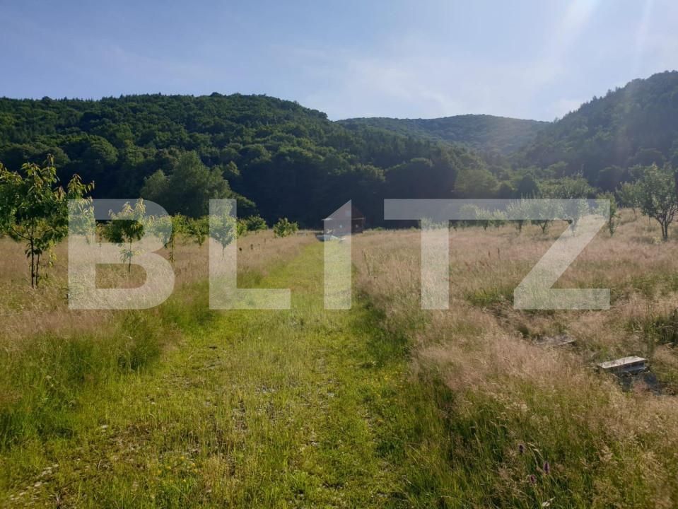 Teren de vânzare Exterior Vest - 140834TV | BLITZ Sibiu | Poza5