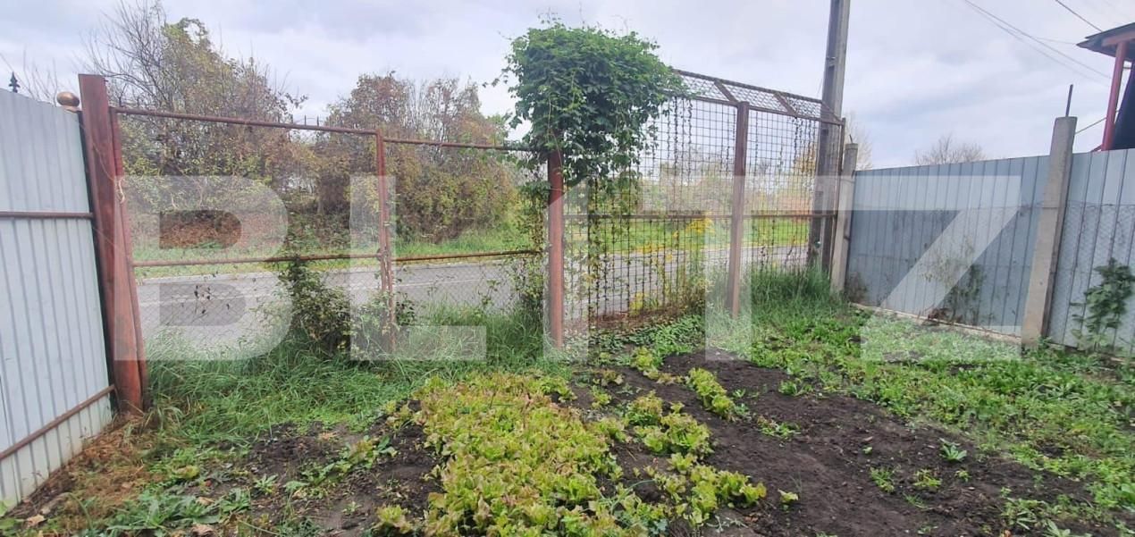 Casa de vânzare 1 camera Turnisor - 141095CV | BLITZ Sibiu | Poza3