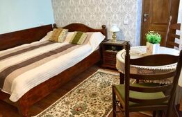 Apartament ultracentral, 51 mp, zona Ocnei