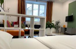 Apartament cu o camera, 43 mp, zona Ultracentrala