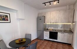 Apartament cu o camera, 43 mp, zona Ultracentrala