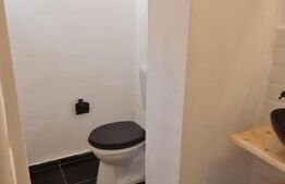 Spatiu comercial sau Apartament 2 camere la casa, 54 mp, langa Tribunal