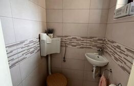 Casa cu 4 camere, 250 mp, teren cu 1024 mp, Trei Stejari