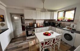 Casa cu 4 camere, 250 mp, teren cu 1024 mp, Trei Stejari