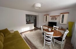 Casa cu 4 camere, 250 mp, teren cu 1024 mp, Trei Stejari