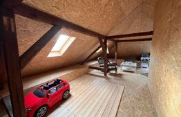 Casa cu 4 camere, 250 mp, teren cu 1024 mp, Trei Stejari