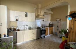 Imobil cu 2 apartamente, 120 mp utili, Ultracentral