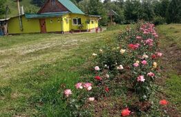 Casa 3 camere, 125mp utili, Comuna Rosia