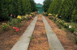 Casa 3 camere, 125mp utili, Comuna Rosia