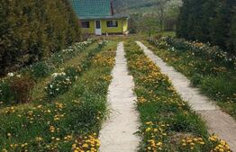 Casa 3 camere, 125mp utili, Comuna Rosia