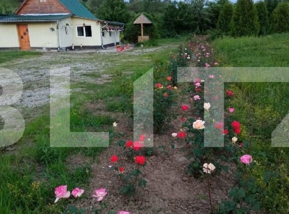 Casa de vânzare 3 camere Est - 144854CV | BLITZ Sibiu | Poza6