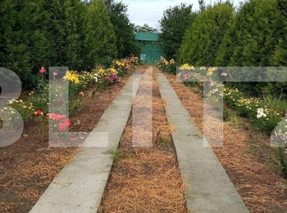 Casa de vânzare 3 camere Est - 144854CV | BLITZ Sibiu | Poza2