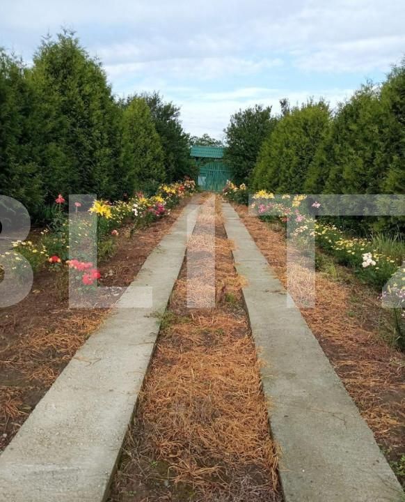 Casa de vânzare 3 camere Est - 144854CV | BLITZ Sibiu | Poza2