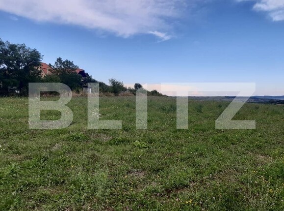 Teren de vânzare Exterior Est - 145744TV | BLITZ Sibiu | Poza2