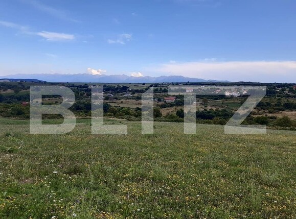 Teren de vânzare Exterior Est - 145744TV | BLITZ Sibiu | Poza3