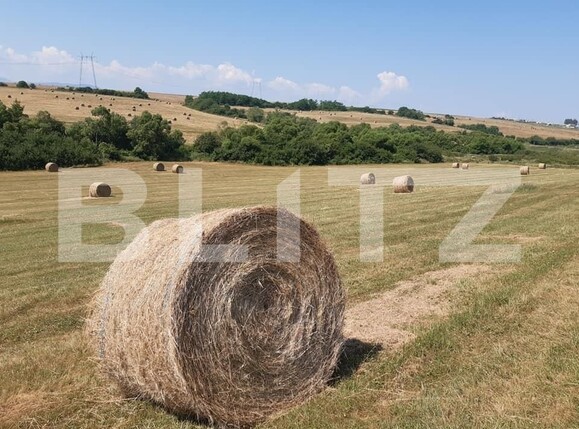 Teren de vânzare Exterior Est - 145745TV | BLITZ Sibiu | Poza1