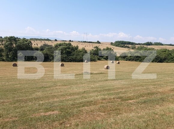 Teren de vânzare Exterior Est - 145745TV | BLITZ Sibiu | Poza3