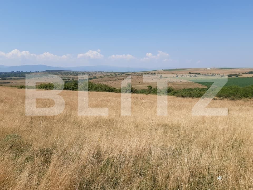 Teren de vânzare Exterior Est - 145745TV | BLITZ Sibiu | Poza4