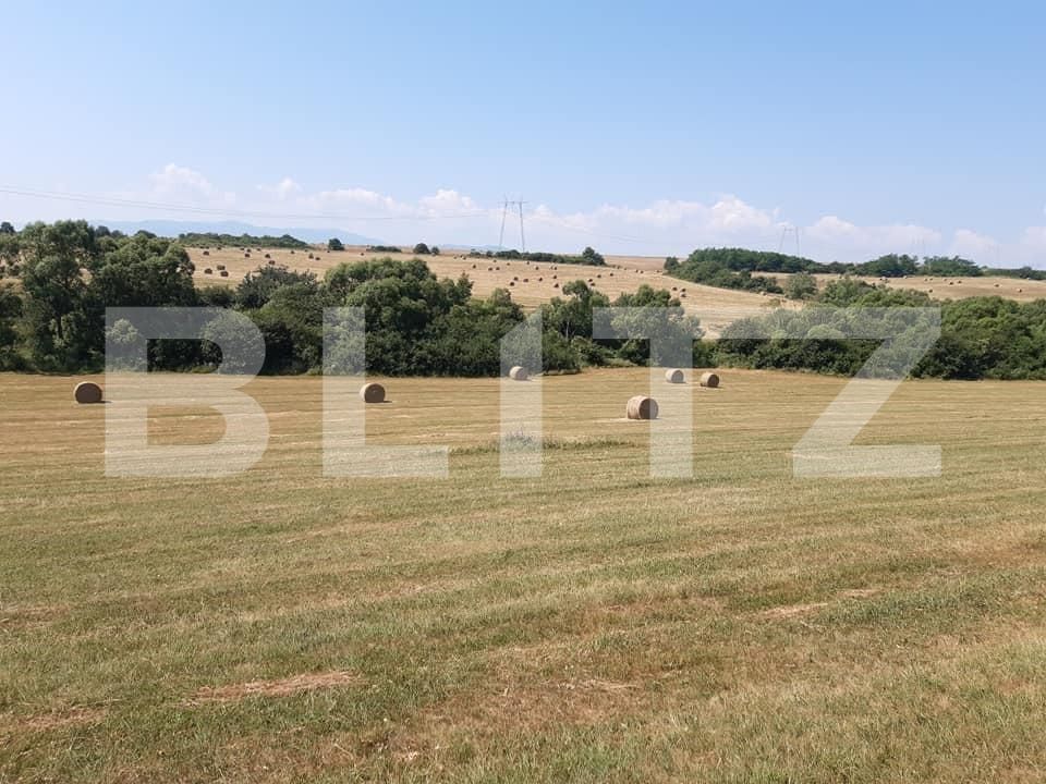 Teren de vânzare Exterior Est - 145745TV | BLITZ Sibiu | Poza3