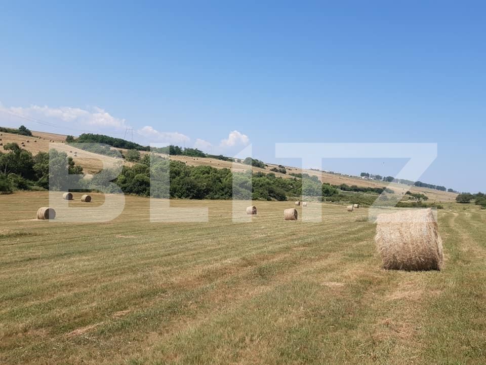 Teren de vânzare Exterior Est - 145745TV | BLITZ Sibiu | Poza2