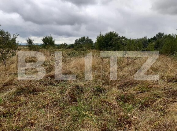 Teren de vânzare Exterior Sud - 145746TV | BLITZ Sibiu | Poza9