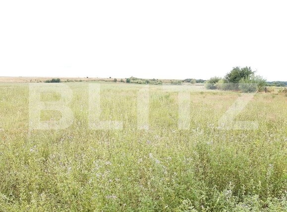 Teren de vânzare Exterior Sud - 145746TV | BLITZ Sibiu | Poza7