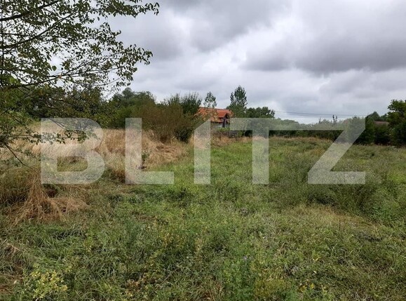 Teren de vânzare Exterior Sud - 145746TV | BLITZ Sibiu | Poza1