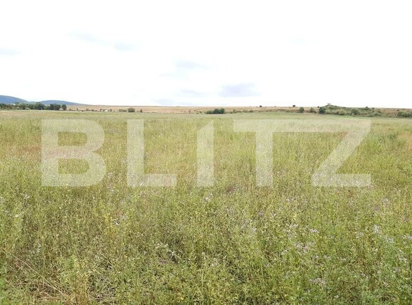 Teren de vânzare Exterior Sud - 145746TV | BLITZ Sibiu | Poza2