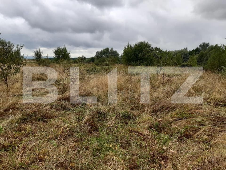 Teren de vânzare Exterior Sud - 145746TV | BLITZ Sibiu | Poza9