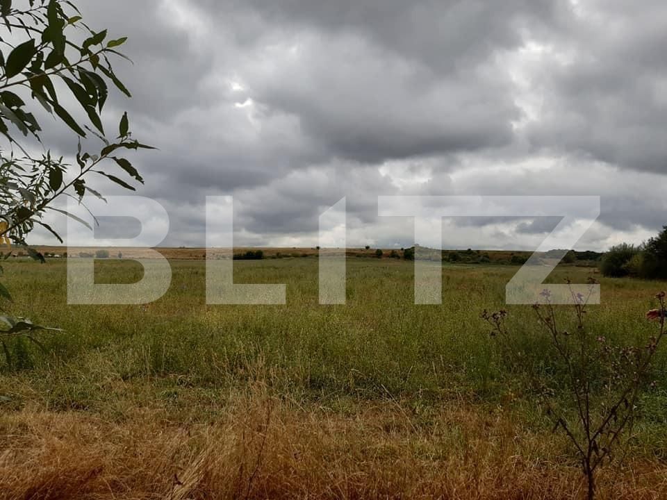 Teren de vânzare Exterior Sud - 145746TV | BLITZ Sibiu | Poza10