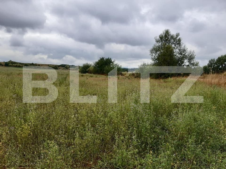 Teren de vânzare Exterior Sud - 145746TV | BLITZ Sibiu | Poza8