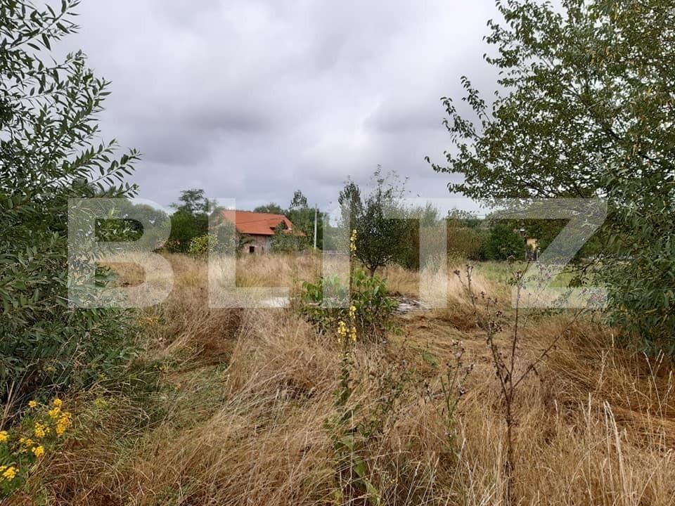 Teren de vânzare Exterior Sud - 145746TV | BLITZ Sibiu | Poza6