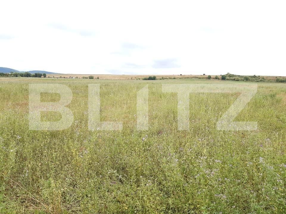 Teren de vânzare Exterior Sud - 145746TV | BLITZ Sibiu | Poza2