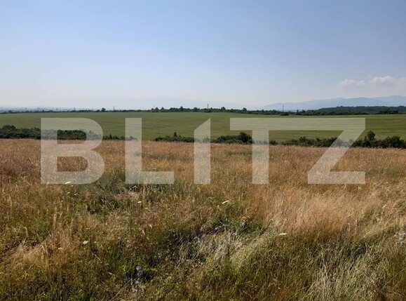 Teren de vânzare Exterior Vest - 145747TV | BLITZ Sibiu | Poza2