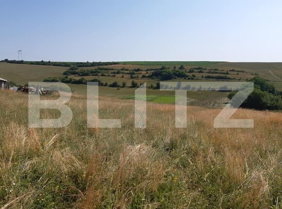 Teren de vânzare Exterior Vest - 145747TV | BLITZ Sibiu | Poza1