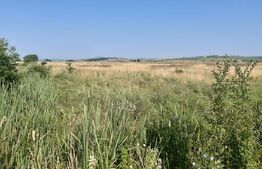 Teren Intravilan DN 14 intre Sibiu si Sura Mare la sosea 