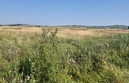 Teren Intravilan DN 14 intre Sibiu si Sura Mare la sosea 