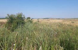 Teren Intravilan DN 14 intre Sibiu si Sura Mare la sosea 