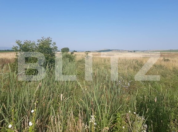 Teren de vânzare Exterior Nord - 145751TV | BLITZ Sibiu | Poza5