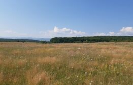 Teren 5000 mp de vanzare in satul Rusciori la 8 km de Sibiu