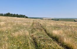 Teren 5000 mp de vanzare in satul Rusciori la 8 km de Sibiu