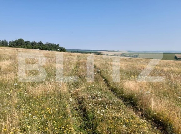 Teren de vânzare Exterior Vest - 145752TV | BLITZ Sibiu | Poza1