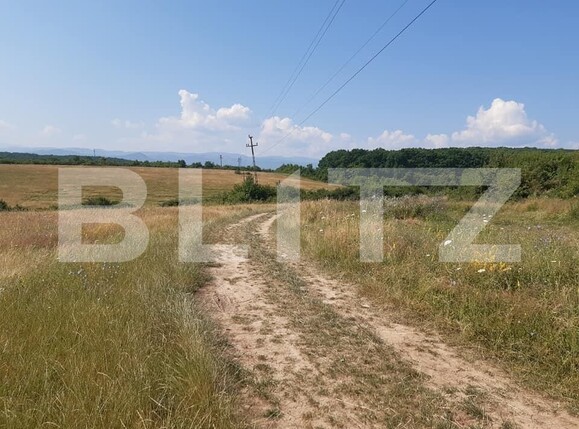 Teren de vânzare Exterior Vest - 145752TV | BLITZ Sibiu | Poza4