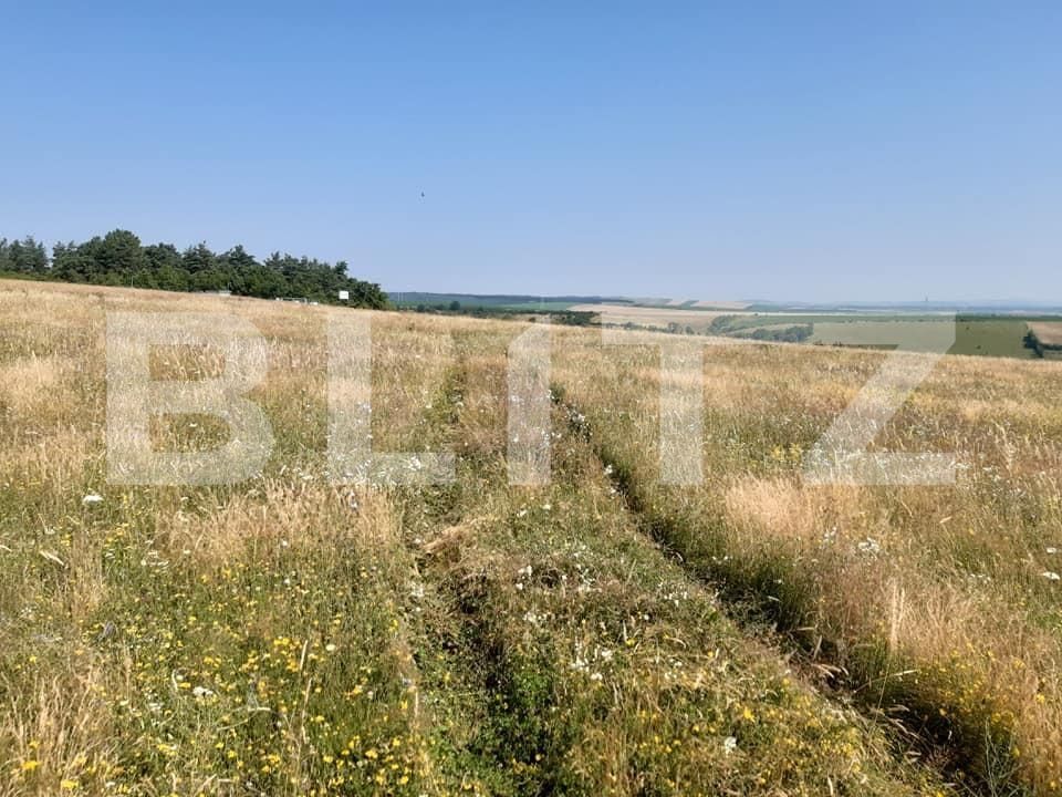 Teren de vânzare Exterior Vest - 145752TV | BLITZ Sibiu | Poza1