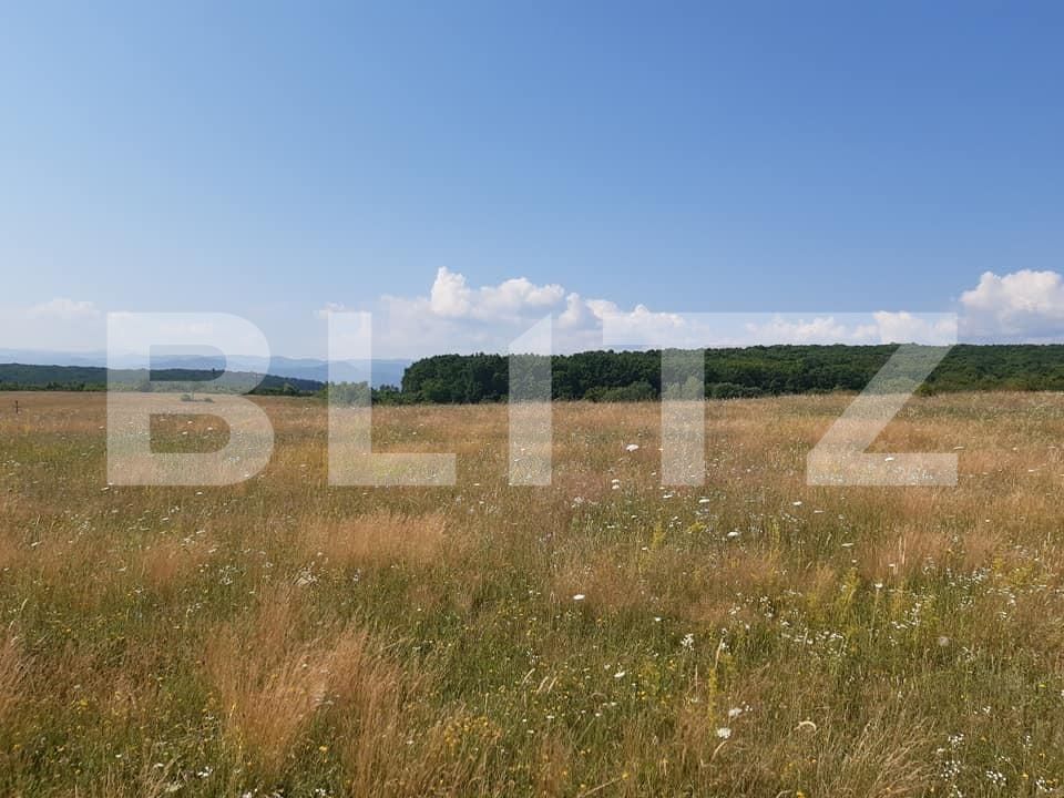 Teren de vânzare Exterior Vest - 145752TV | BLITZ Sibiu | Poza2