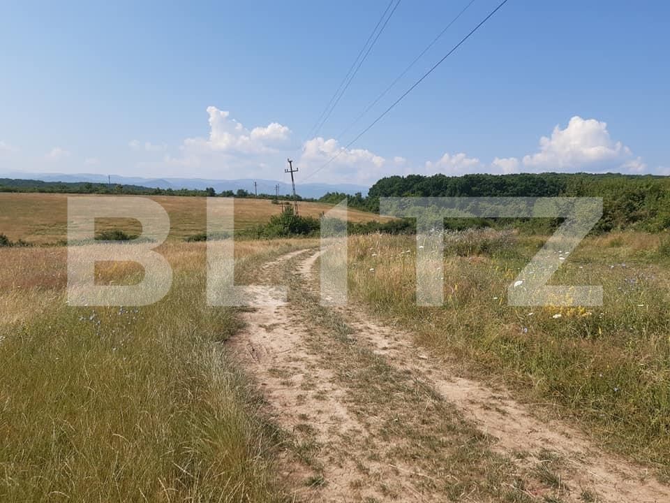 Teren de vânzare Exterior Vest - 145752TV | BLITZ Sibiu | Poza4