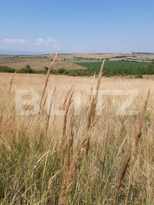 Teren de vânzare Exterior Est - 145754TV | BLITZ Sibiu | Poza3