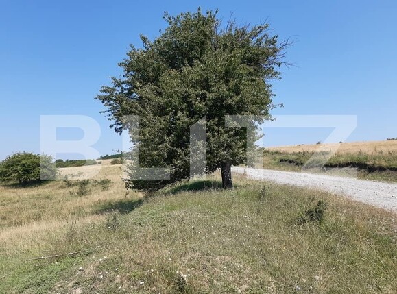 Teren de vânzare Exterior Est - 145761TV | BLITZ Sibiu | Poza1