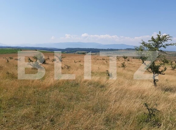 Teren de vânzare Exterior Est - 145761TV | BLITZ Sibiu | Poza4